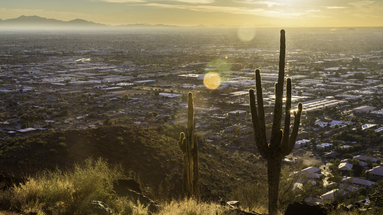 A view overlooking Phoenix from a scenic desert hike