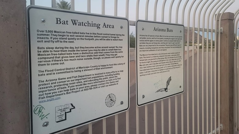 Informative signs set up by the Arizona Game and Fish Department at the Phoenix Bat Cave