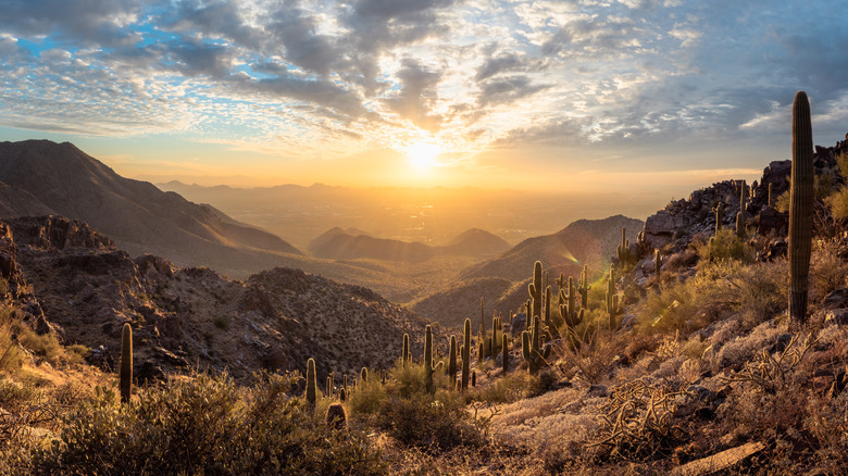 Sunset over Sonoran Preserve, Arizona