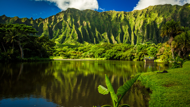 Views of Ho'omaluhia Botanical Garden