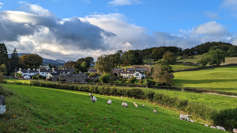 Rolling hills and farmland with grazing sheep give way to a village with historic farmhouses under a blue sky in Near Sawrey