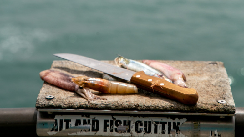 Shrimp, squid, and knife on bait cutting station at fishing pier