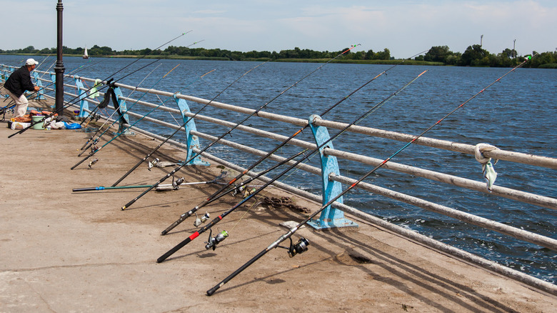 Man with multiple fishing rods on pier