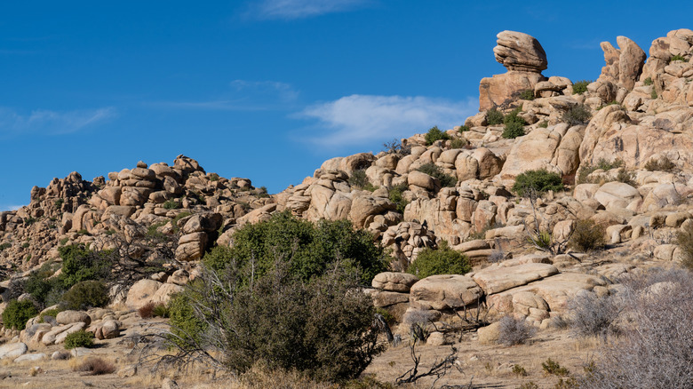 Unique rock formations at Pioneertown Mountains Preserve