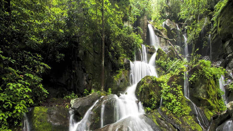 Place of a Thousand Drips along the Roaring Fork Motor Tour in the Great Smoky Mountains National Park, Tennessee