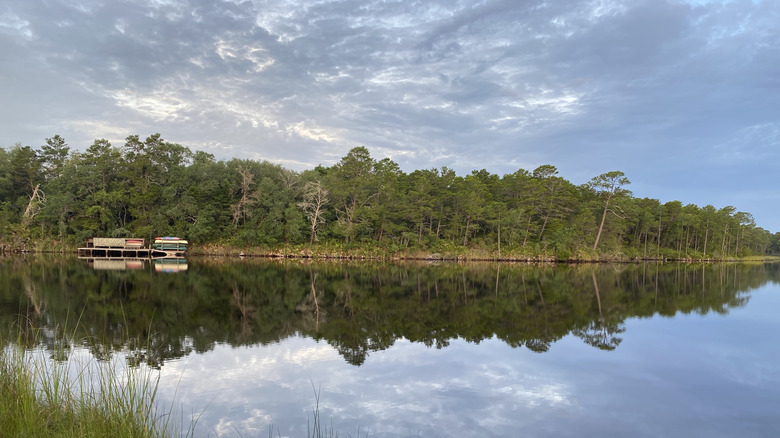 Lake and coastal forest at Point Washington State Forest in Florida