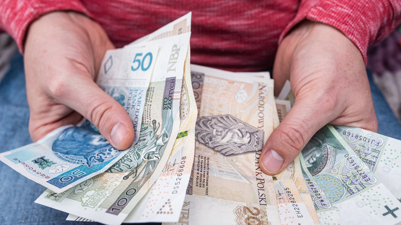 A closeup shot of a pair of hands holding Polish Zloty banknotes