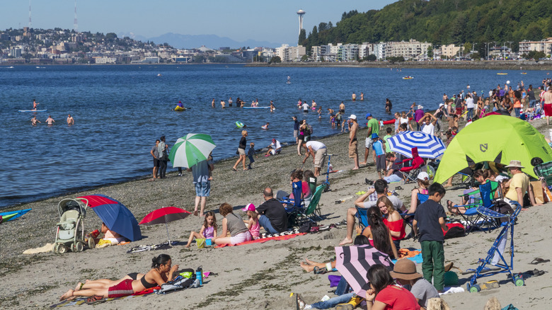 People sitting and swimming at Alki Beach, with views of the Space Needle in the distance.