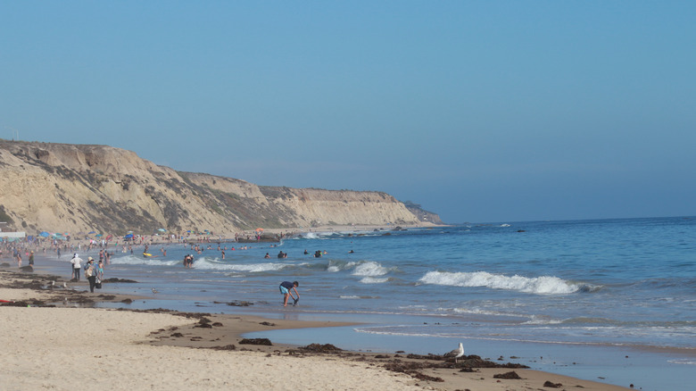 Beachgoers at Crystal Cove State Park in Orange County