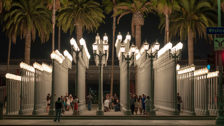 The art installation "Urban Light" at LACMA at night