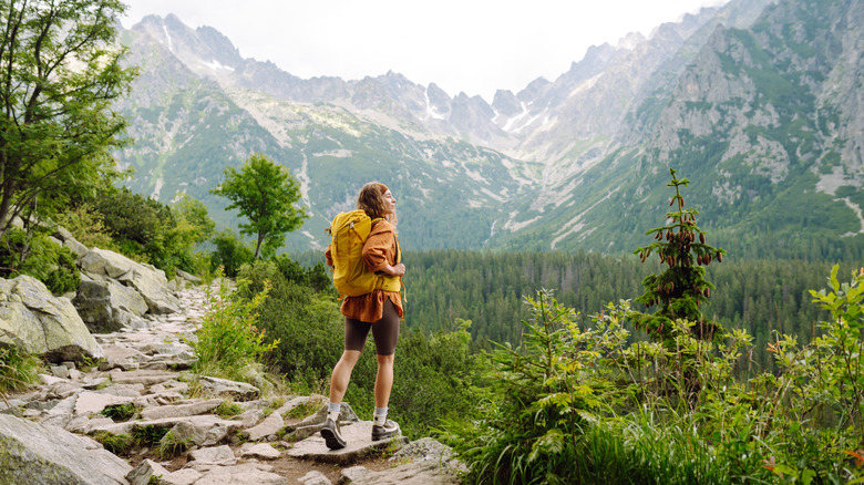 A woman hiking in a forested valley.