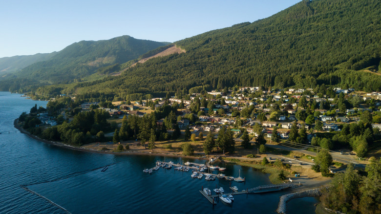 Aerial view of a small town sitting between a forested mountain and water, with a small marina on the waterfront