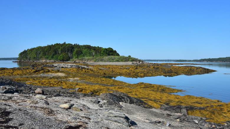 A rocky island view in Casco Bay near Portland, Maine