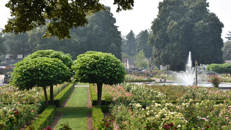 Peninsula Park in Portland, OR