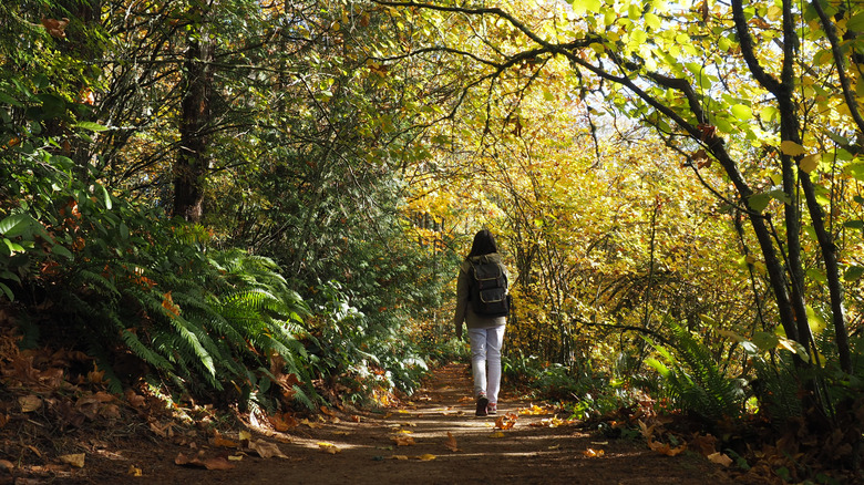 Woman walking through forest in fall at Hoyt Arboretum