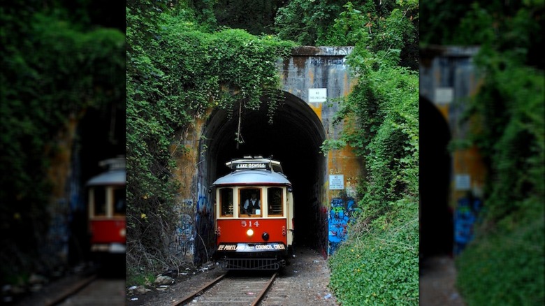 The vintage-style Willamette Shore Trolley passing through a vine-covered tunnel in Oregon