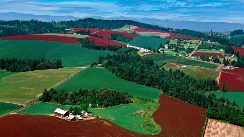 The rolling hills of farmland in North Plains, Oregon
