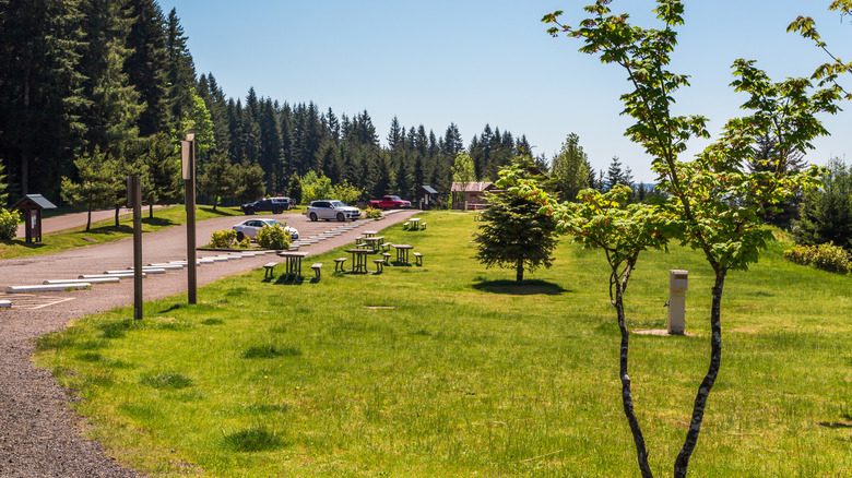 Parking area at the L.L .Stub Stewart State Park in Buxton, Oregon near North Plains