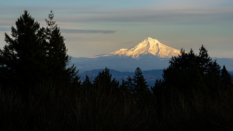 A view of the snow-capped Mount Hood from Council Crest Park in Portland.