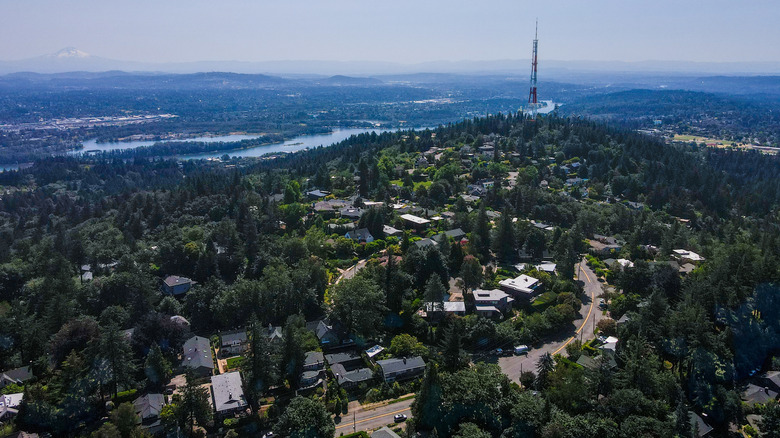 An aerial view of the leafy Council Crest neighborhood in Portland with a river and mountains in the background.