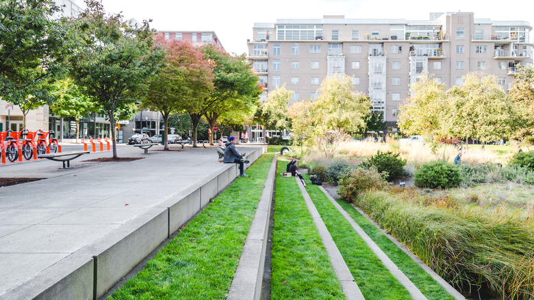Tanner Springs Park in Portland's Pearl District