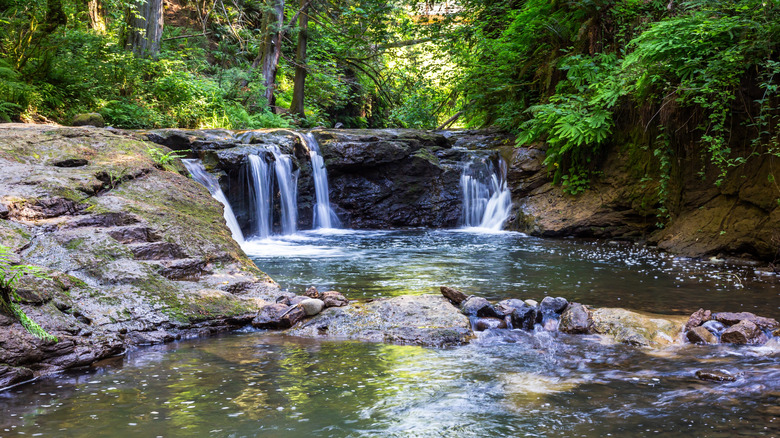 Waterfall at Hidden Falls Nature Park in Happy Valley, Oregon