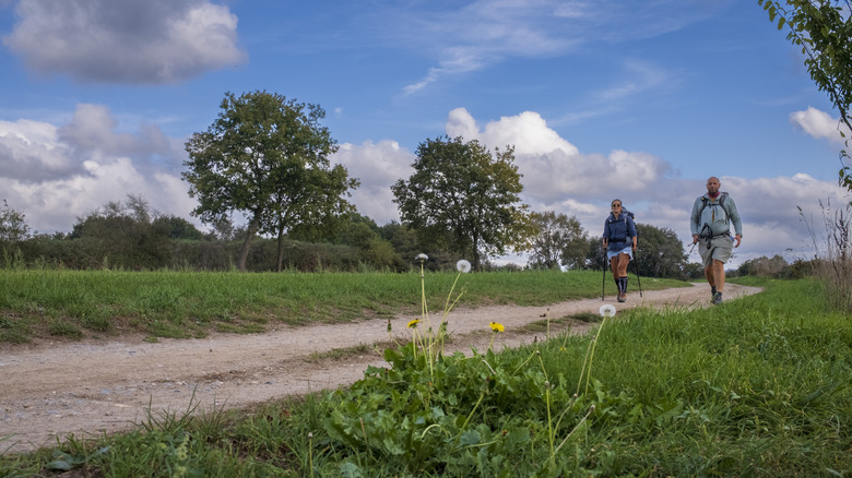 Two hikers on the Camino de Santiago in Portugal