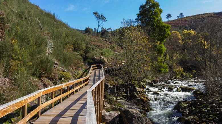 Boardwalk of the Ecovia do Vez