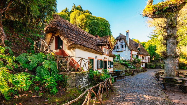 Thatched houses in Santana, Madeira