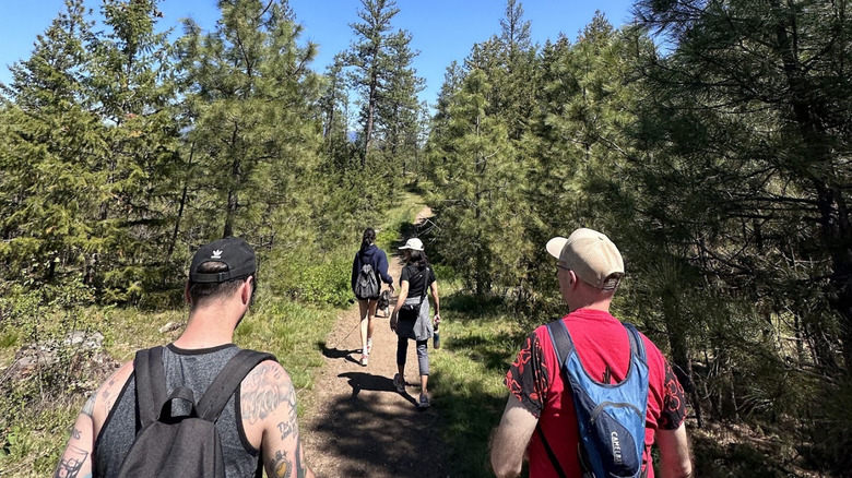 For hikers on the trail at the Post Falls Community Forest, Idaho
