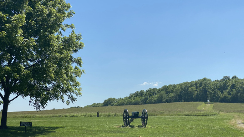 A cannon in a field in Prairie Grove Battlefield State Park, Arkansas
