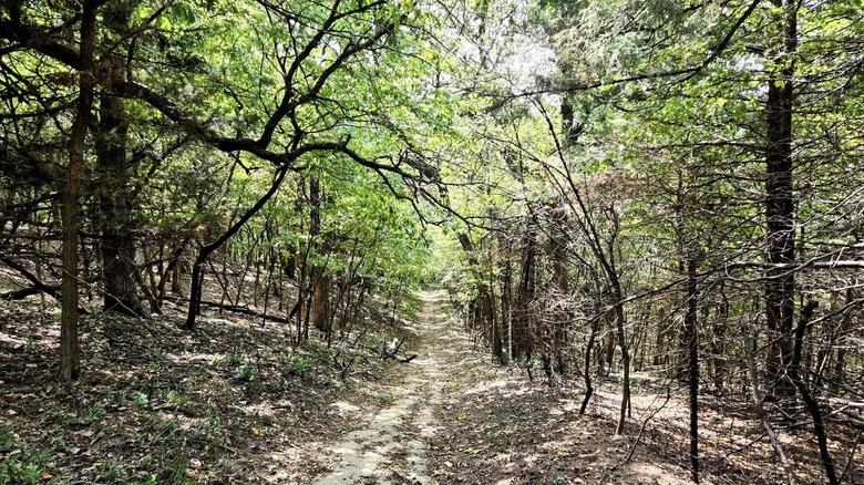 Woodland trail in Preparation Canyon State Park, Iowa