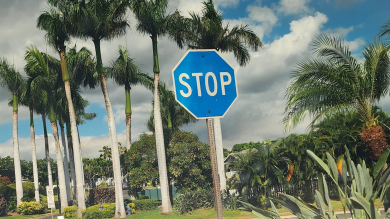 Blue stop sign in O'ahu