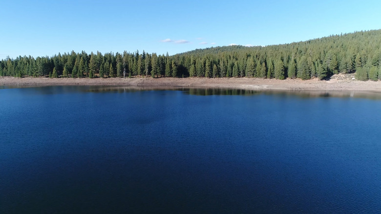 Trees lining the blue water at Prosser Creek Reservoir in northern California's Sierra Nevada mountains