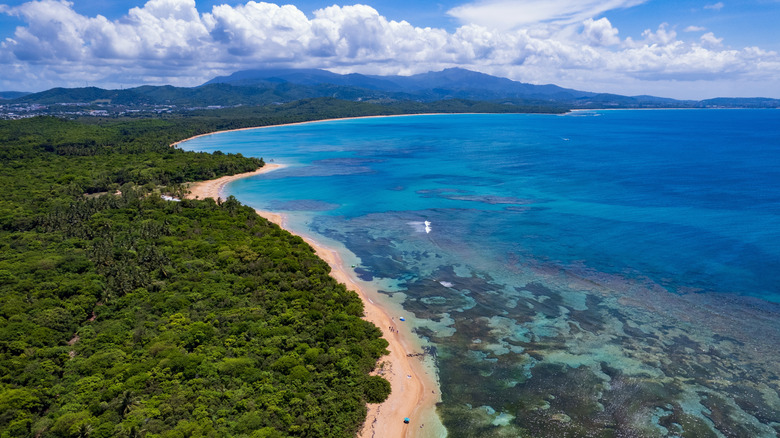 Aerial view of beach in Fajardo