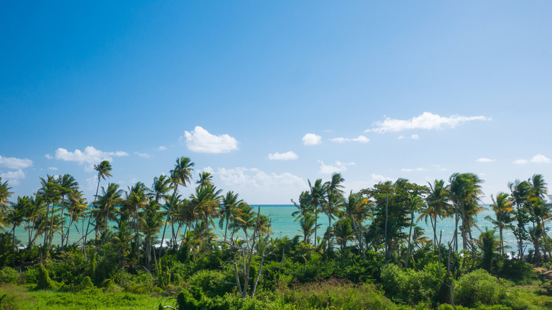 View of the beaches near Punta Tuna Nature Reserve