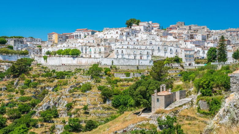 View of Monte Sant'Angelo's whitewashed houses.