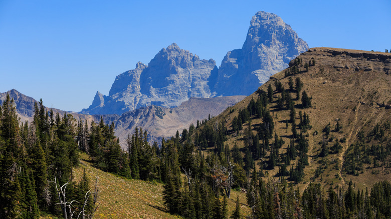View of Grand Teton from summertime mountain bike trails in Wydaho