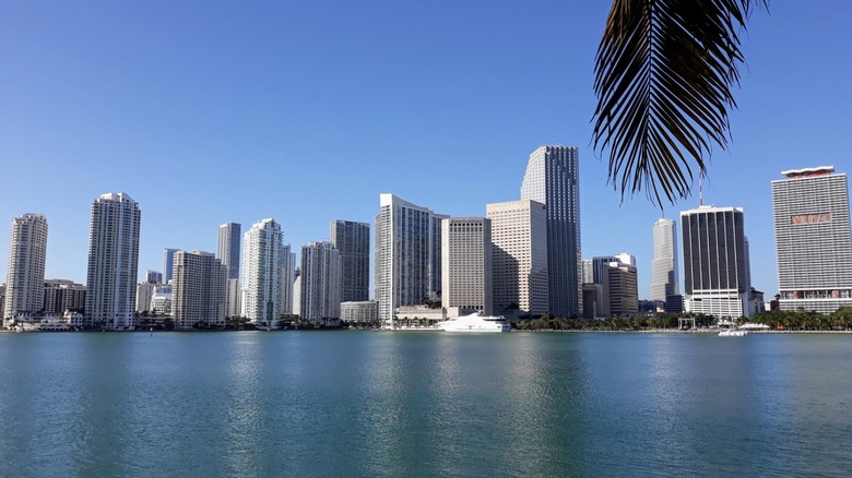 Briscayne Bay with Miami Skyline in the background