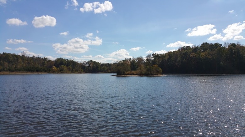 A photo of the Randleman Lake shoreline taken in Southwest Park.
