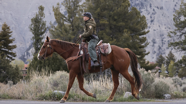 A park ranger on a horse against a mountain backdrop