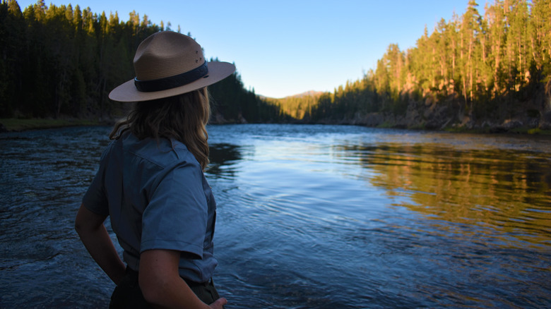 A female park ranger in a hat looking out toward a river and forests in Yellowstone National Park