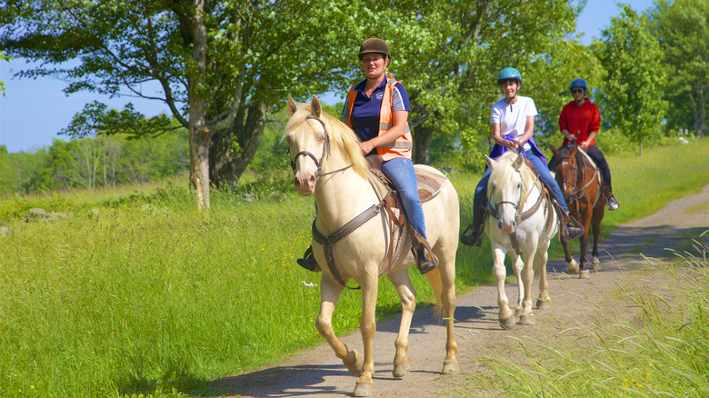 three women riding horses through a dirt road between green fields in Connecticut