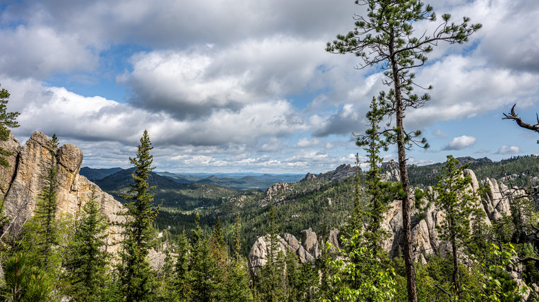 A view of the Black Hills and granite formations of South Dakota from the Sunday Gulch Trail