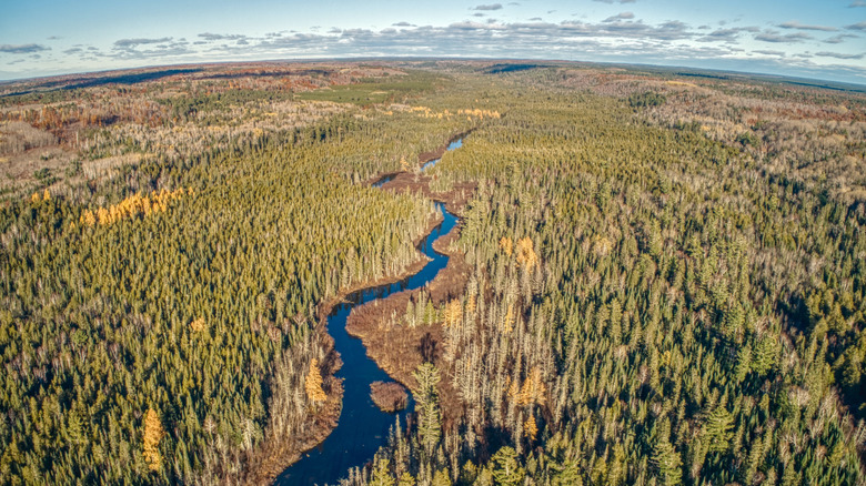 An aerial view of Brule River State Forest in northwestern Wisconsin