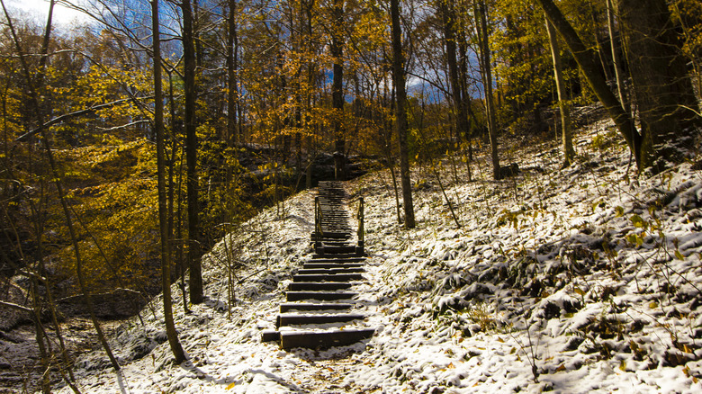 A stairwell on a path in the Hemlock Cliffs area of Hoosier National Forest, Indiana