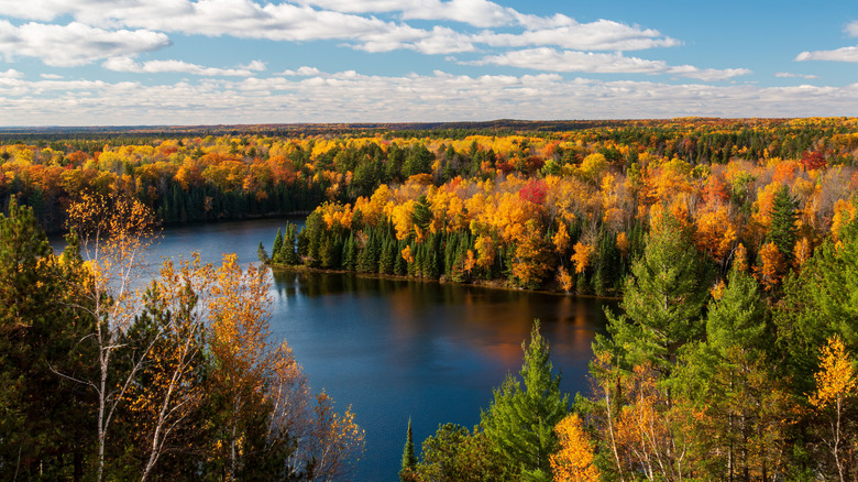 An elevated view of Cooke Pond along the Au Sable River in Huron-Manistee National Forest