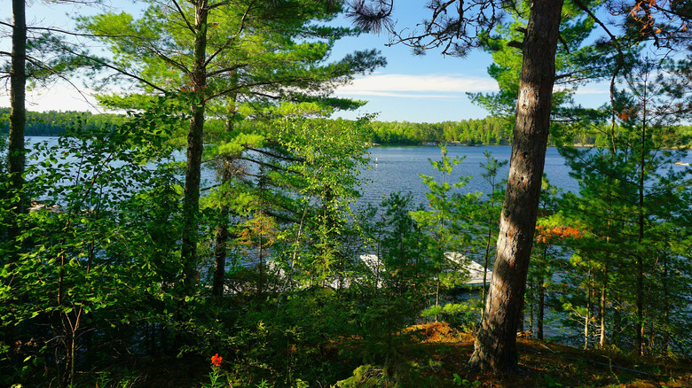 Kabetogama Lake in Kabetogama State Forest, Minnesota