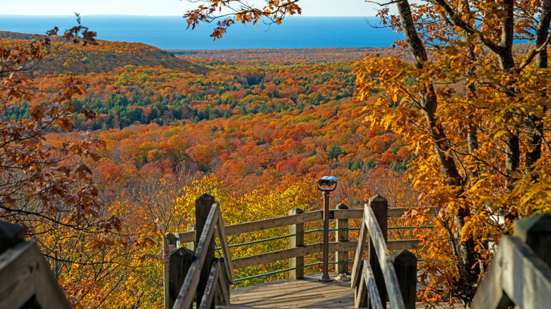 Observation point at the peak of fall in the Porcupine Mountains in Michigan
