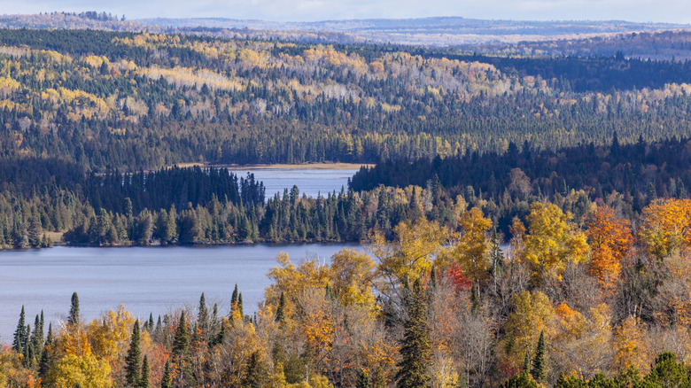 Caribou Lake and Bigsby Lake near North Shore of Lake Superior, Minnesota, in Superior National Forest